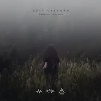 Ambyion — Farewell Ft Phelian — обложка